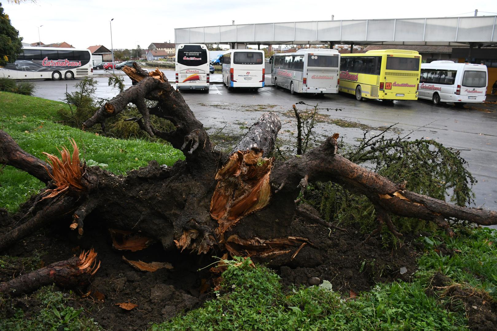 

Dio Ulice Matice hrvatske bio je zatvoren jer je prijetila opasnost da padnu staklene stijene s nebodera, dok se na obližnjem autobusnom kolodvoru na autobus srušilo stablo, potvrdio je zapovjednik Javne vatrogasne postrojbe u Bjelovaru Davor Đalog.