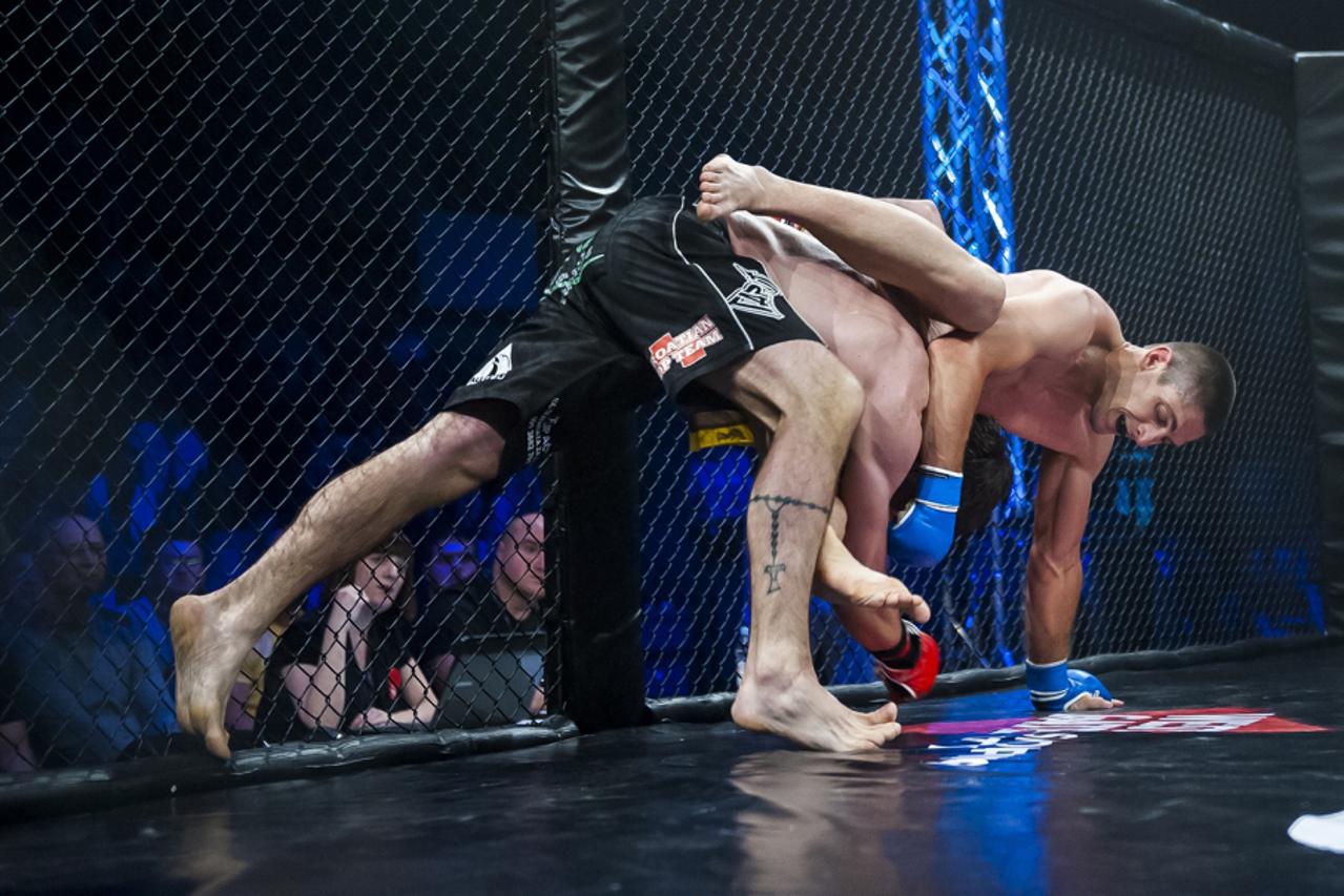 Hrvatska MMA liga (1)