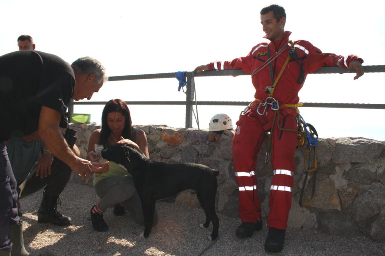 spašavanje psa (1)