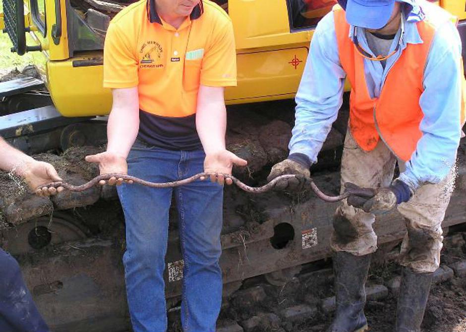 Gigantski zemljani crv Gippsland