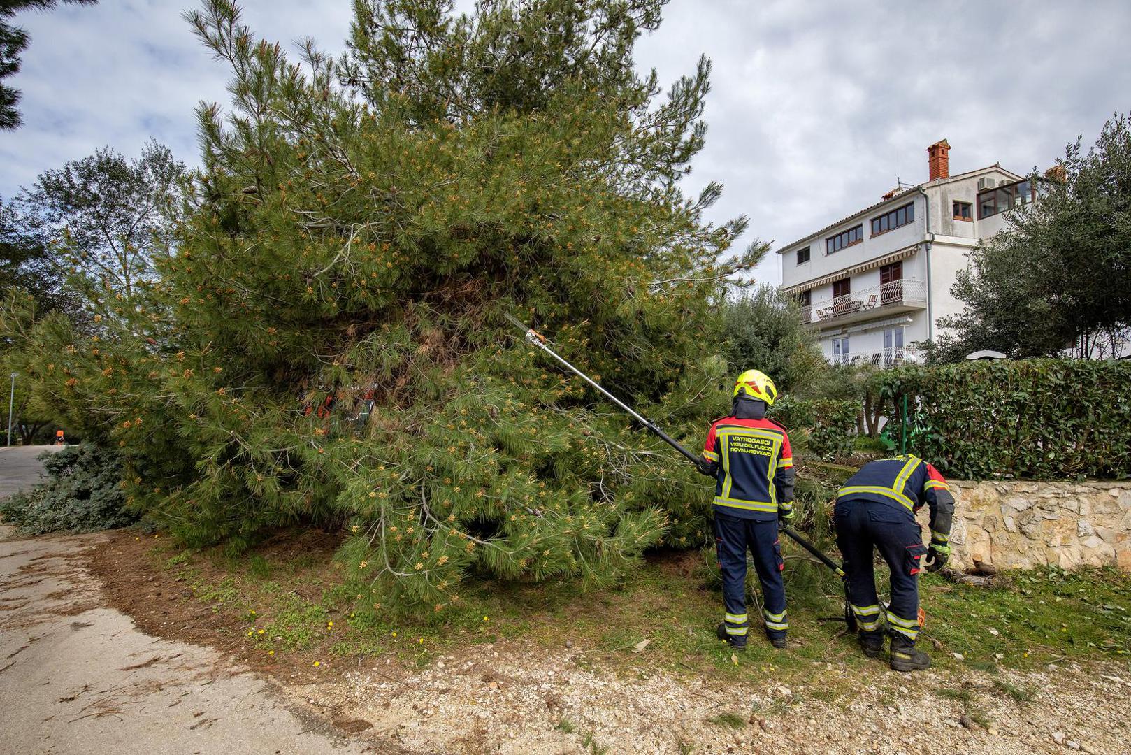 27.03.2023., Rovinj - Steta na ulicama grada koje je poharalo snazno nevrijeme.
 Photo: Srecko Niketic/PIXSELL