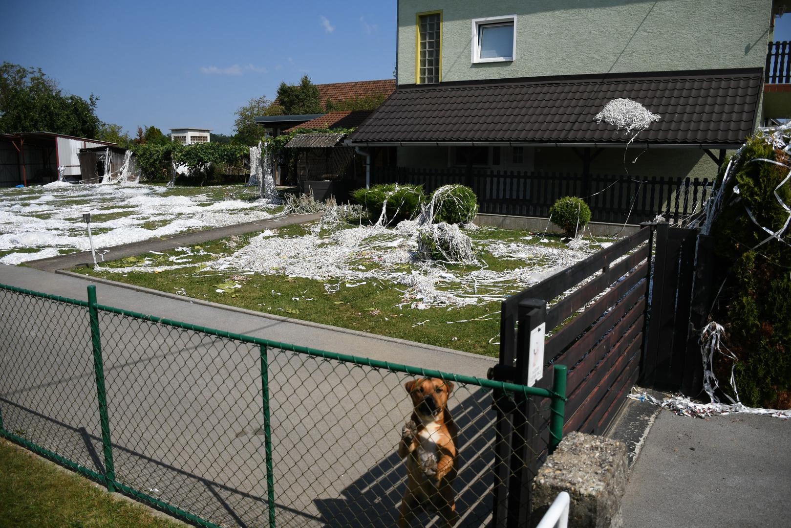 22.07.2023., Garesnica - Pogled na prvu zavara i izgleda kao da je na + 35 stupnjeva dvoriste obiteljske kuce zatrpano snijegom. Medjutim na podrucju Bjelovarsko-bilogorske zupanije njeguje se nesvakidasnji obicaj "slavlja" dolaska kuci majke i novorodjenceta iz bolnice, poznat pod nazivom sipanje. Rodbina, prijatelji i susjedi iskazuju veselje zasipavanjem dvorista perjem i papirima, a neuobicajeni nestasluci postaju ocekivani dio slavlja. Ovo je obicaj koji nema pisana pravila pa on ovisi o "kreativnosti" sipaca. Nakon slavlja, domacini ove obiteljske kuce u Garesnici imati ce pune ruke posla da sve ociste i vrate u prvobitno stanje.  Photo: Damir Spehar/PIXSELL