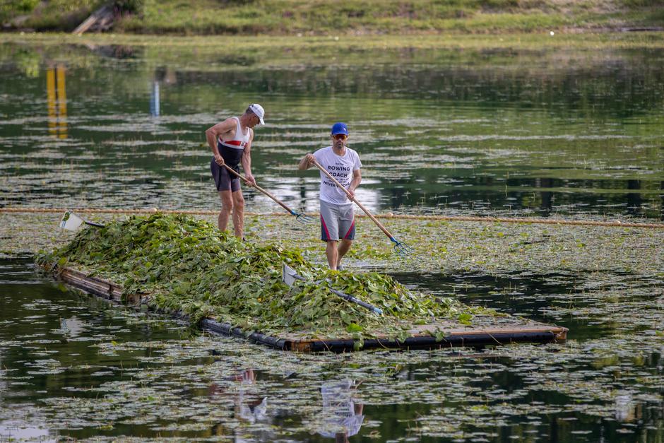 Lokvanji na veslačkoj stazi jarunskog jezera