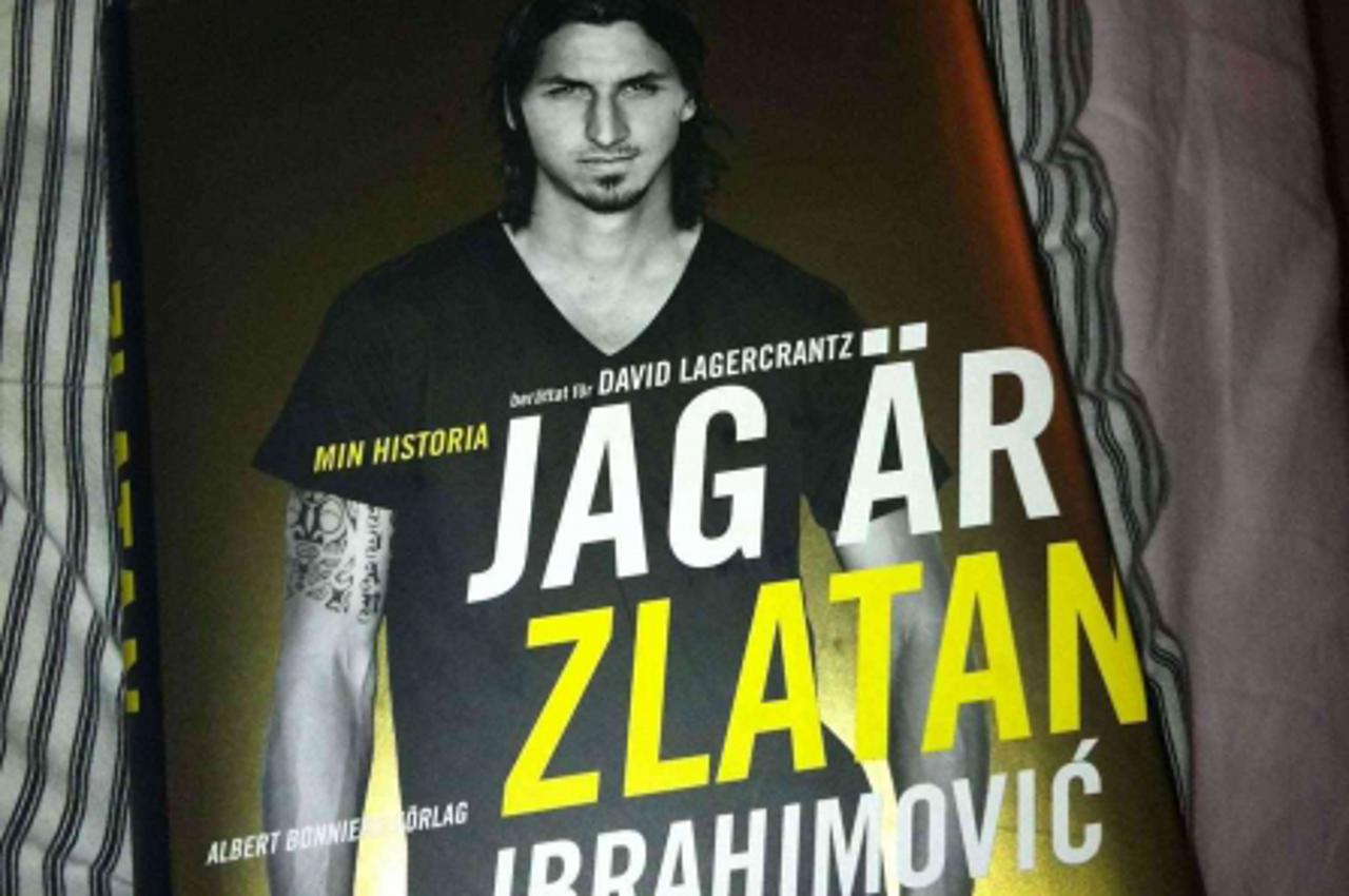 'ibrahimovic13_nnn_spo_15021'