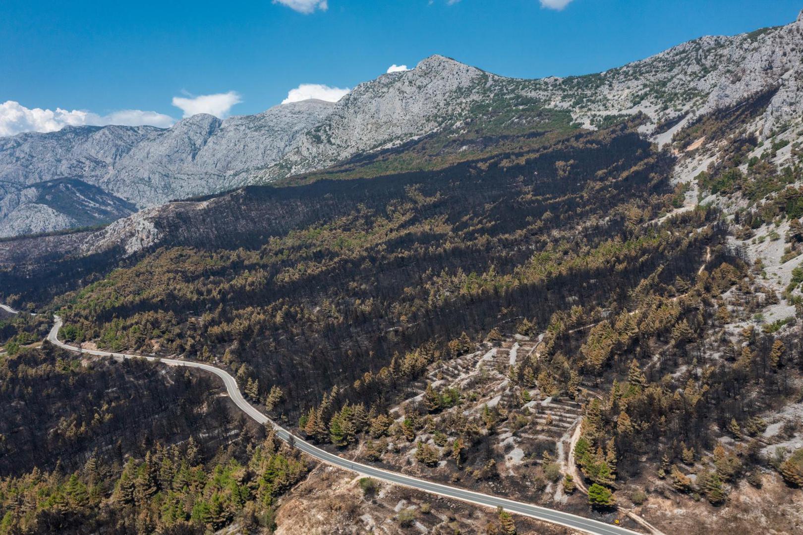 03.08.2024. Gornje Tucepi
Fotografije iz zraka opožarenog podrucja od Tucepi do Gornje Podgore i Parka prirode Biokovo. Photo: Matko Begovic/PIXSELL