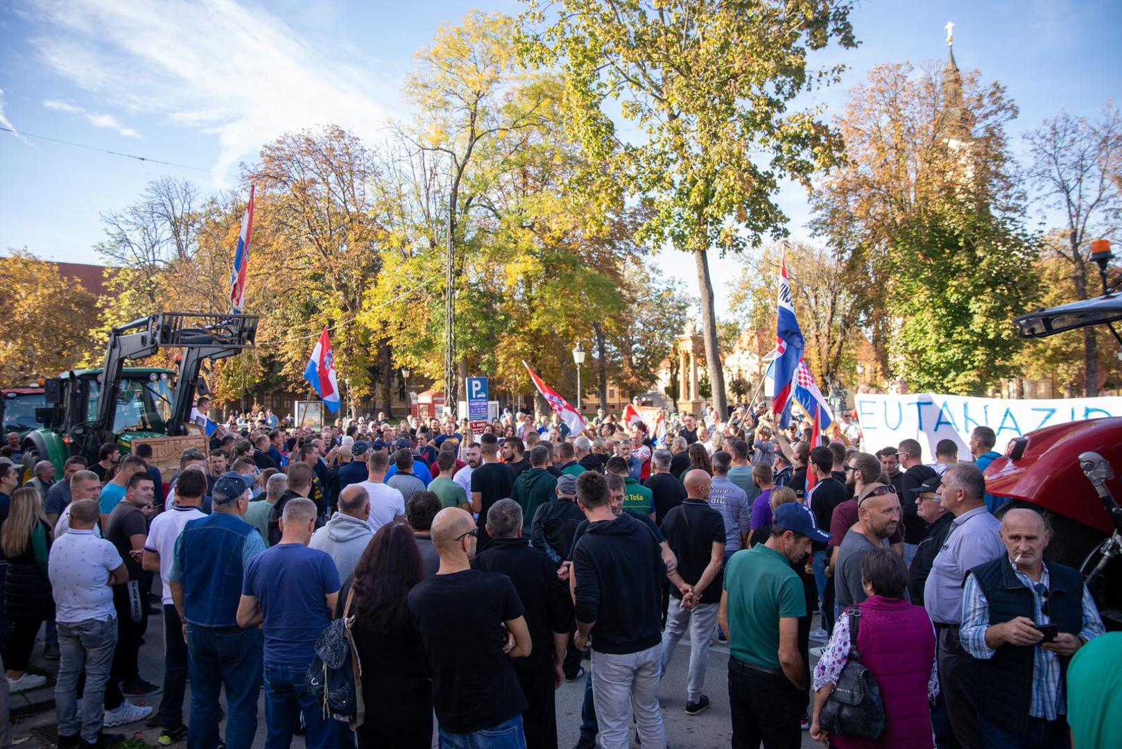 29.10.2023., Vinkovci - Prosvjed svinjogojaca u Vinkovcima zbog africke svinjske kuge. Photo: Borna Jaksic/PIXSELL