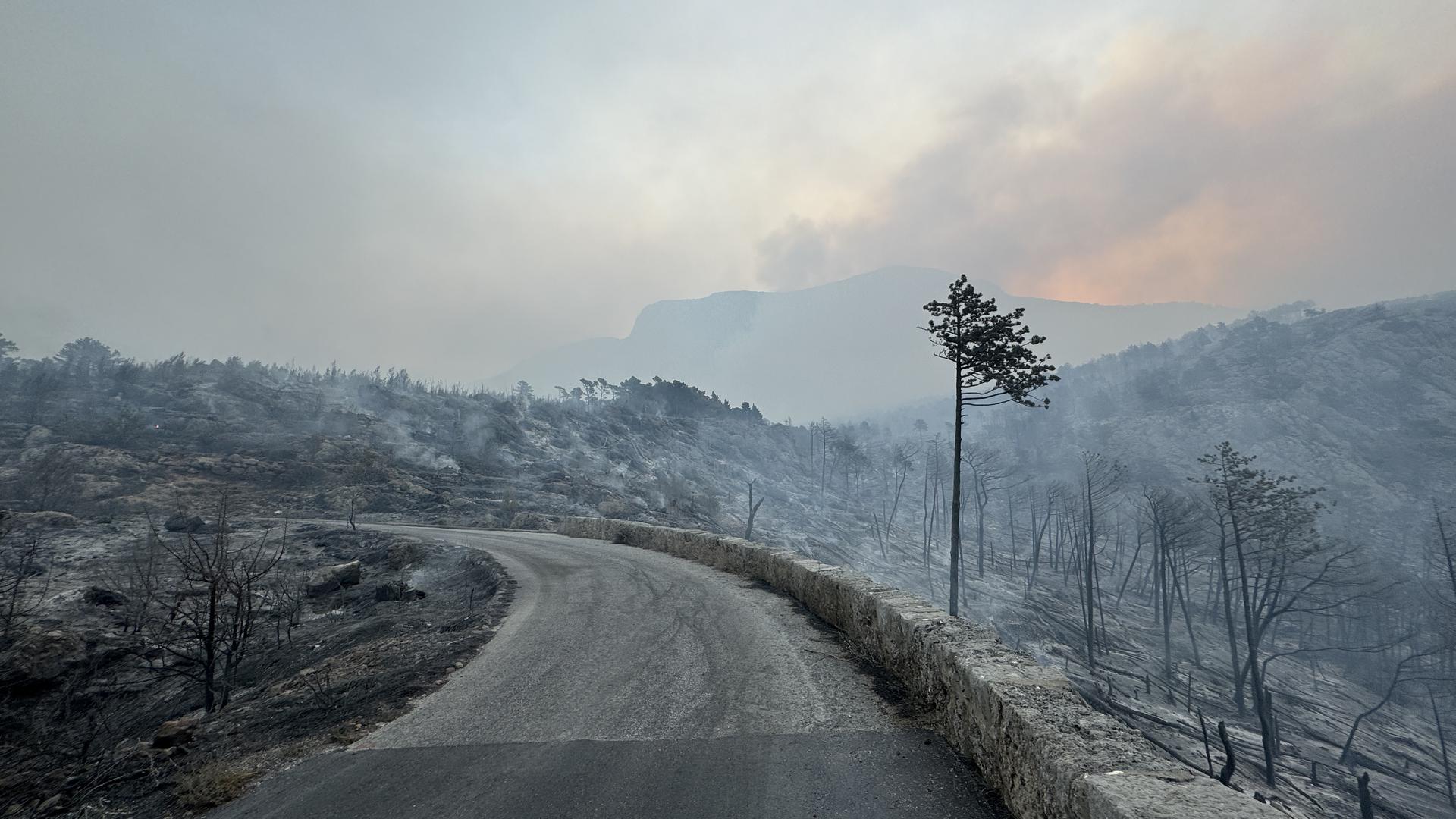 01.08.2024.,Makarska- Jutro je otkrilo katastrofu opozarene povrsine na podrucju Parka prirode Biokovo. Photo: Ivo Cagalj/PIXSELL