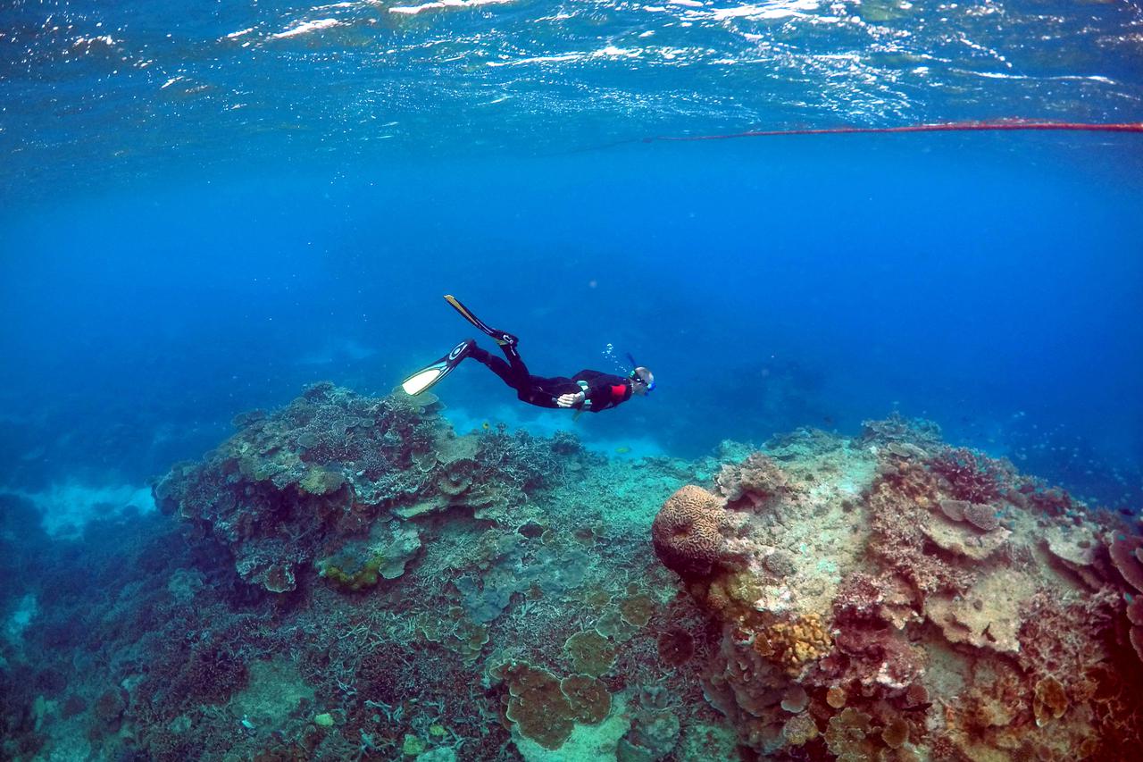 FILE PHOTO: FILE PHOTO: Hottest oceans in 400 years endanger Great Barrier Reef