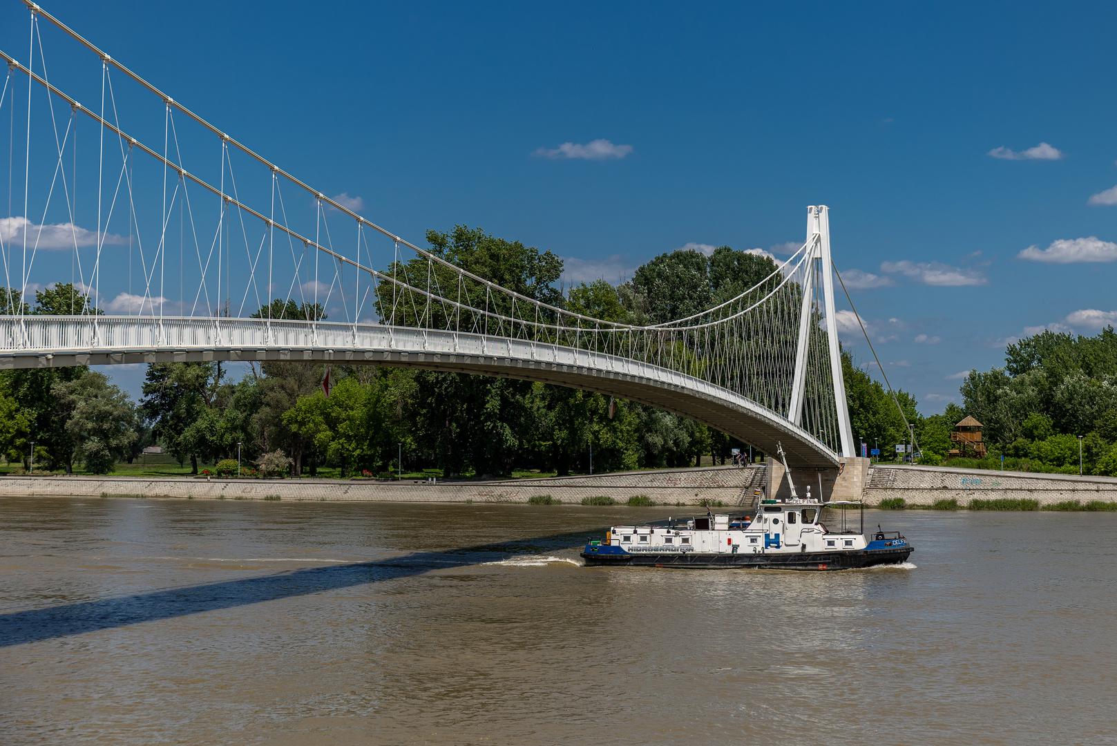 14.06.2023., Osijek - Vodostaj na rijeci Dravi kod Osijeka je u opadanju, Brod Hidrogradnje u prolazu ispod pjesackog mosta Photo: Davor Javorovic/PIXSELL