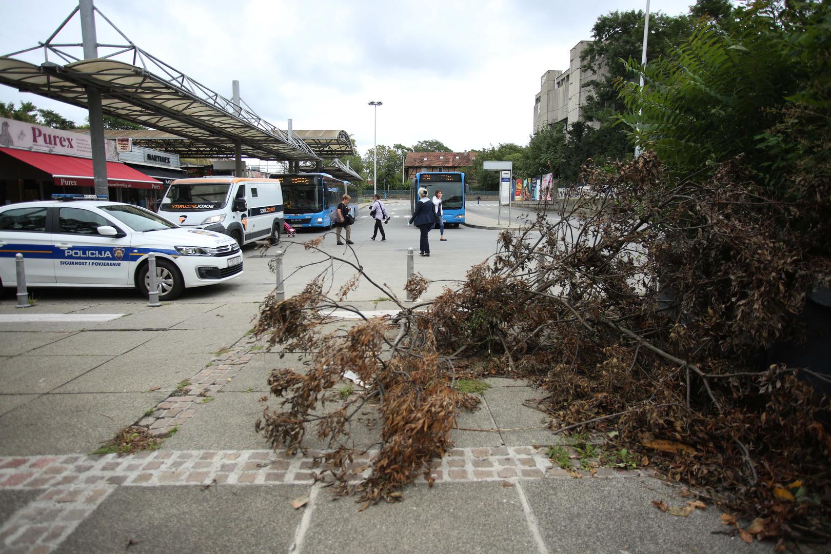 30.08.2023., Zagreb - Reportaza o stanju cistoce i urednosti grada Zagreba. Photo: Lovro Domitrovic/PIXSELL