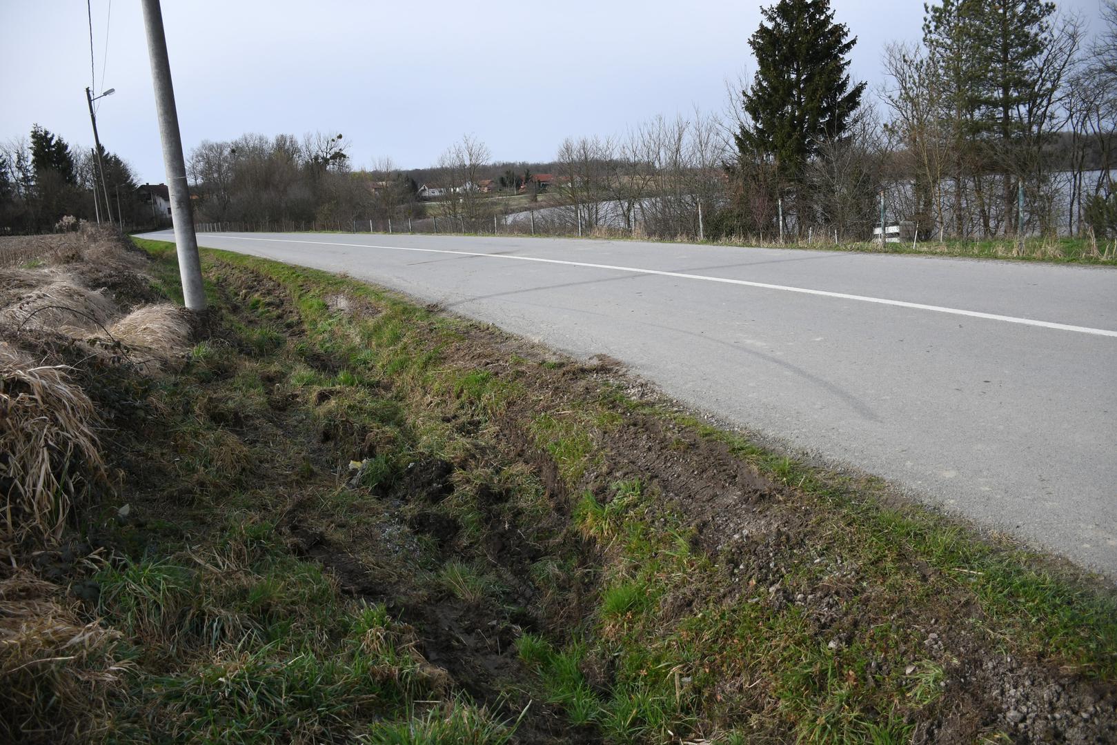 04.03.2024., Siscani - Putni jarak i rasvjetni stup u mjestu Siscani pored Cazme gdje je sletio autobus pun skolske djece. Srecom nema ozlijedjenih, a autobus je ekspresno uklonjen sa zavojitog ijela ceste.   Photo: Damir Spehar/PIXSELL