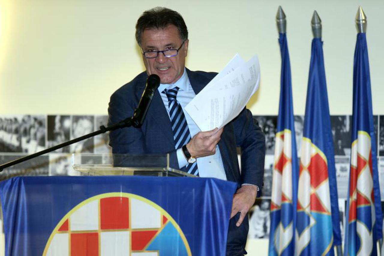 Mamić skupština