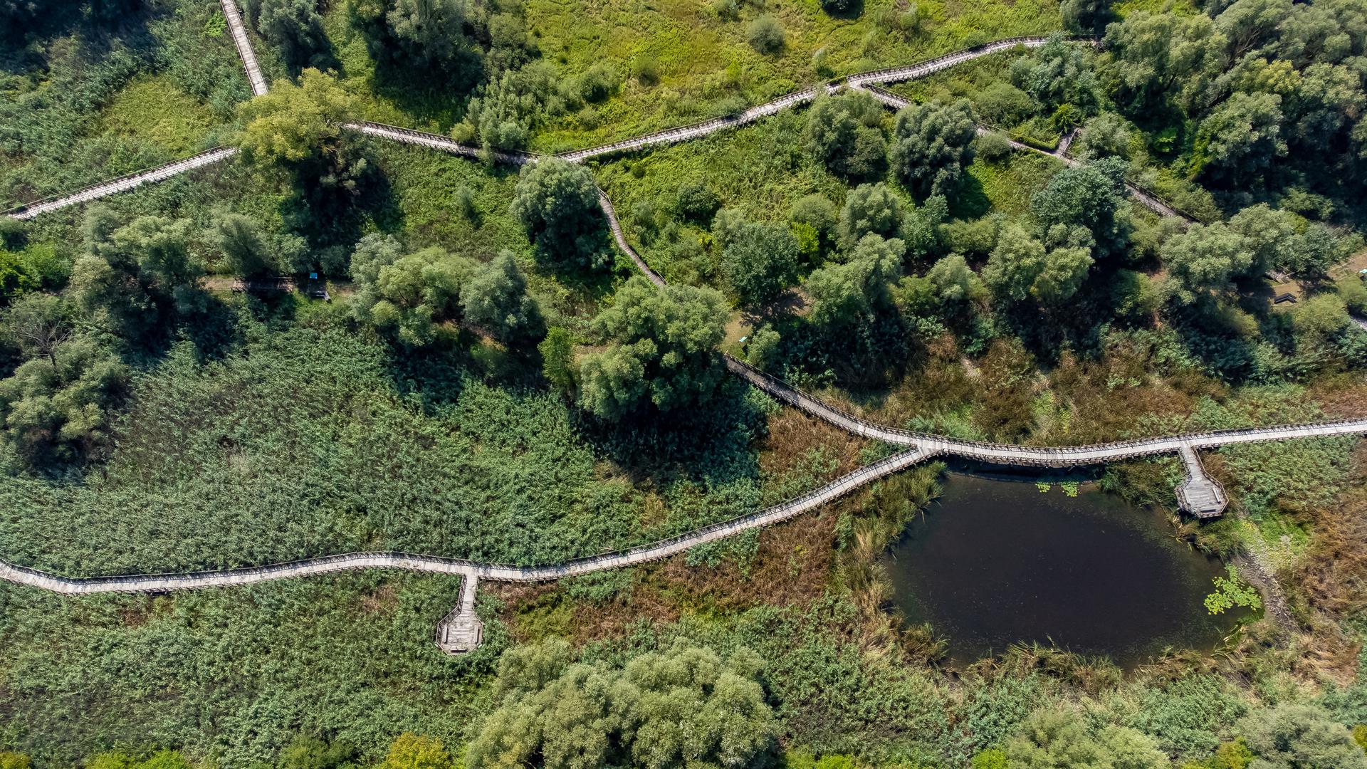 25.08.2022., Kopacki rit - Park prirode Kopacki rit jedna od najvecih mocvara Europe. Zbog niskog vodostaja rijeke Dunav veci dio Kopackog rita je bez vode. Photo: Davor Javorovic/PIXSELL