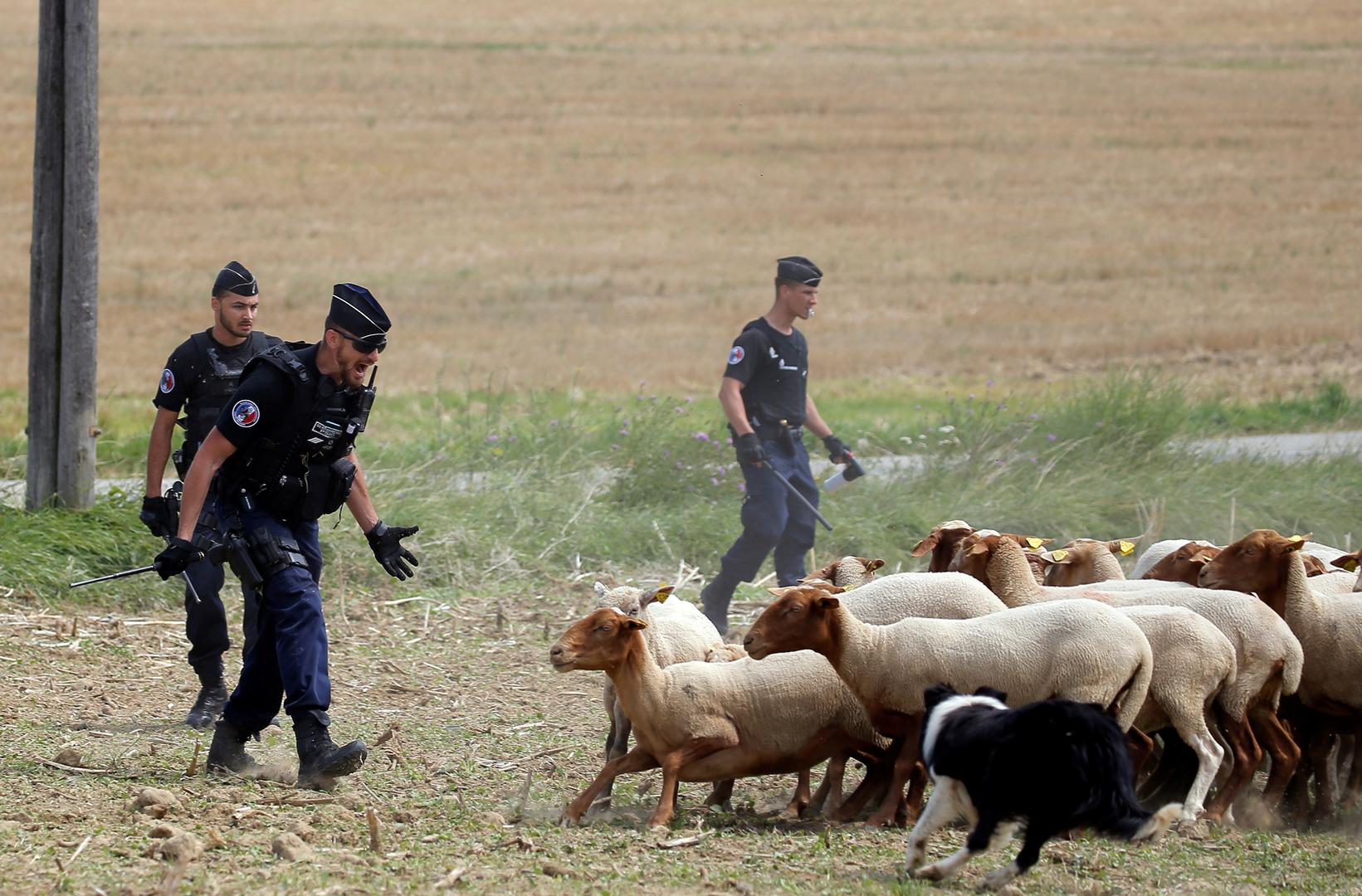 Šesnaesta etapa najveće svjetske biciklističke utrke "Tour de Francea", koja se vozi od Carcassonnea do Bagneres-de-Luchona, bila je prekinuta na 15-ak minuta zbog protesta lokalnih zemljoradnika nakon 30 prijeđenih kilometara.